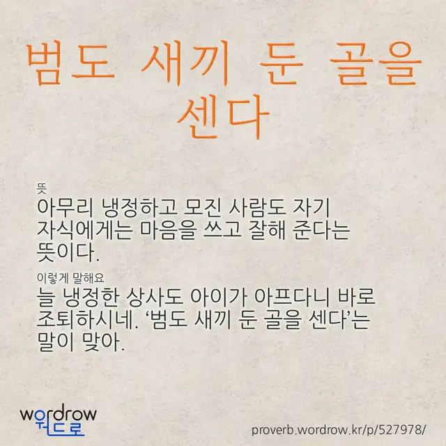 “범도 새끼 둔 골을 센다” 글씨와 뜻·예문이 완성된 속담 영상 포스터