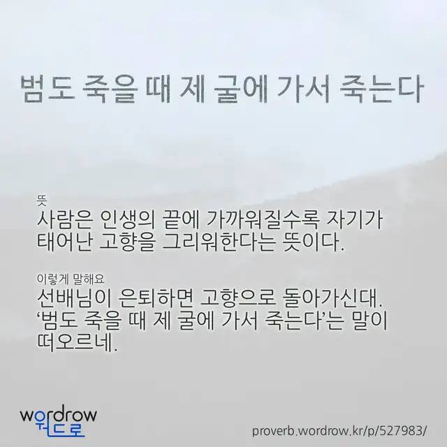“범도 죽을 때 제 굴에 가서 죽는다” 글씨와 뜻·예문이 완성된 속담 영상 포스터