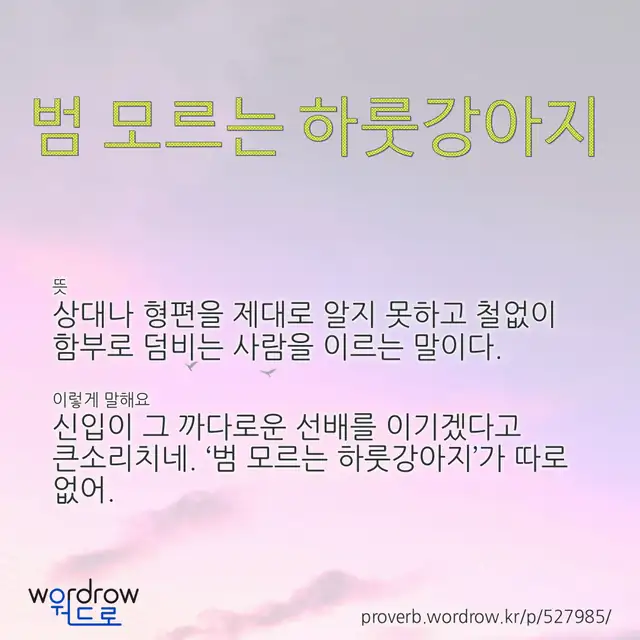 “범 모르는 하룻강아지” 글씨와 뜻·예문이 완성된 속담 영상 포스터