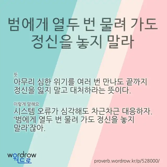 “범에게 열두 번 물려 가도 정신을 놓지 말라” 글씨와 뜻·예문이 완성된 속담 영상 포스터