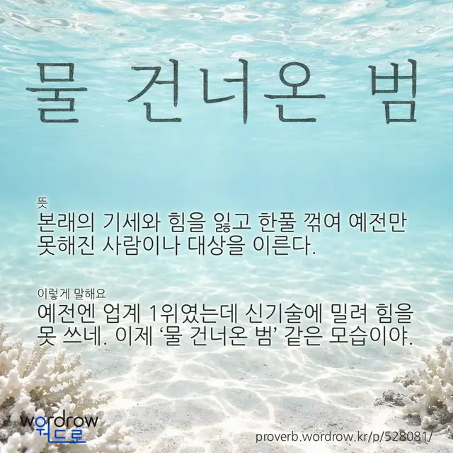 “물 건너온 범” 글씨와 뜻·예문이 완성된 속담 영상 포스터