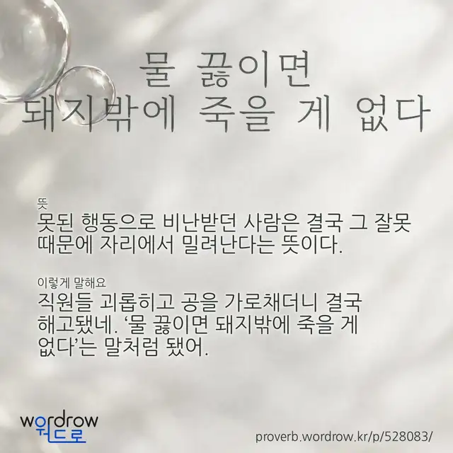 “물 끓이면 돼지밖에 죽을 게 없다” 글씨와 뜻·예문이 완성된 속담 영상 포스터