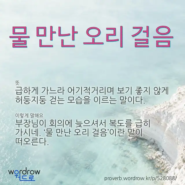 “물 만난 오리 걸음” 글씨와 뜻·예문이 완성된 속담 영상 포스터