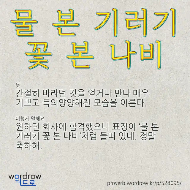 “물 본 기러기 꽃 본 나비” 글씨와 뜻·예문이 완성된 속담 영상 포스터