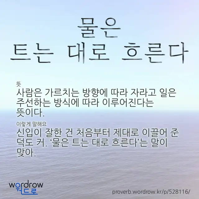“물은 트는 대로 흐른다” 글씨와 뜻·예문이 완성된 속담 영상 포스터