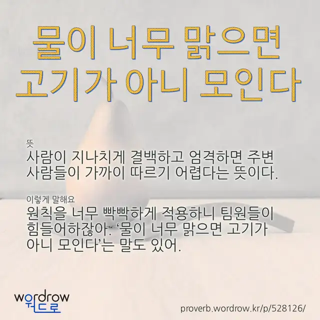 “물이 너무 맑으면 고기가 아니 모인다” 글씨와 뜻·예문이 완성된 속담 영상 포스터