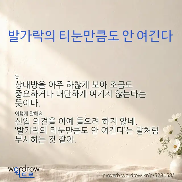 “발가락의 티눈만큼도 안 여긴다” 글씨와 뜻·예문이 완성된 속담 영상 포스터