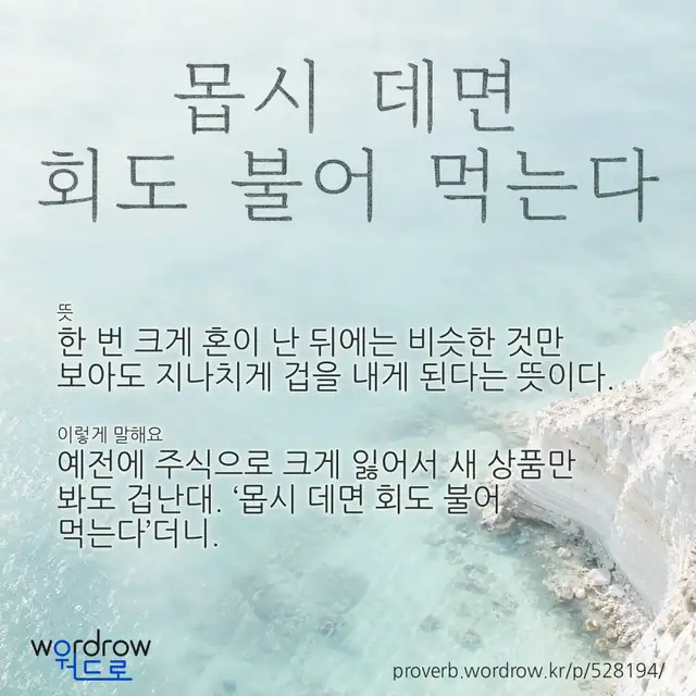 “몹시 데면 회도 불어 먹는다” 글씨와 뜻·예문이 완성된 속담 영상 포스터