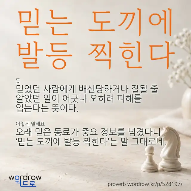 “믿는 도끼에 발등 찍힌다” 글씨와 뜻·예문이 완성된 속담 영상 포스터
