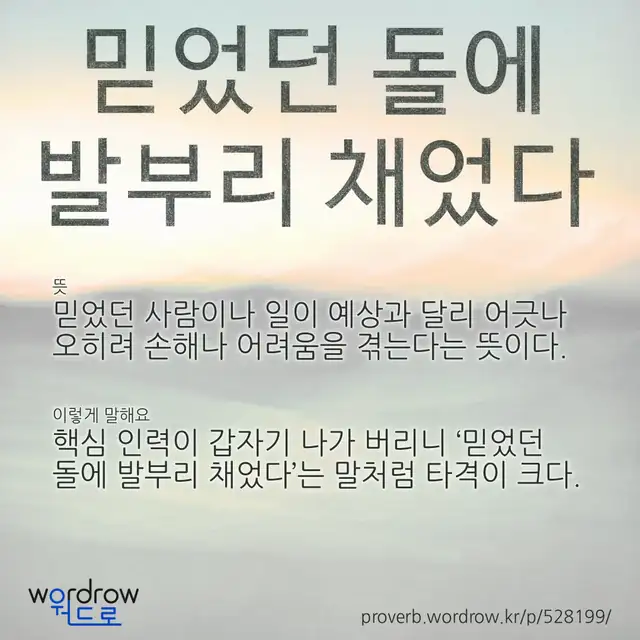 “믿었던 돌에 발부리 채었다” 글씨와 뜻·예문이 완성된 속담 영상 포스터