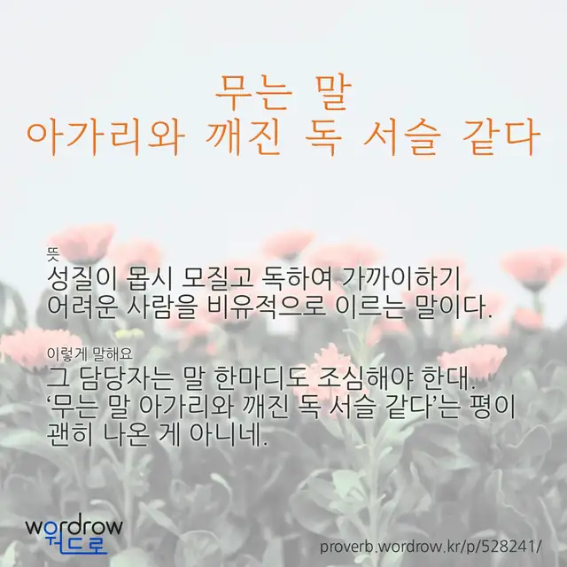 “무는 말 아가리와 깨진 독 서슬 같다” 글씨와 뜻·예문이 완성된 속담 영상 포스터