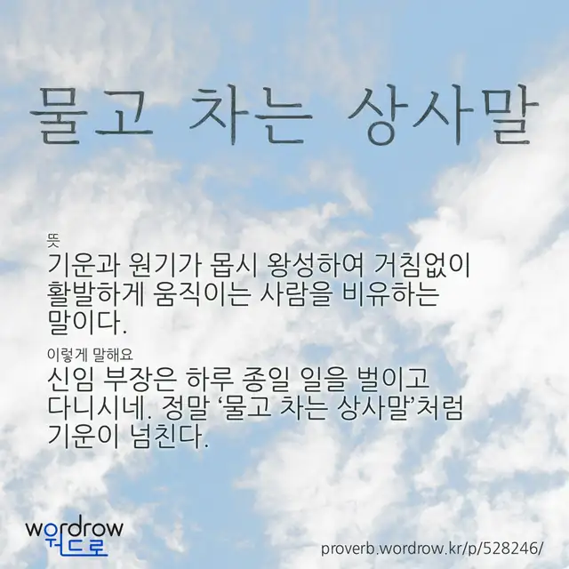 “물고 차는 상사말” 글씨와 뜻·예문이 완성된 속담 영상 포스터