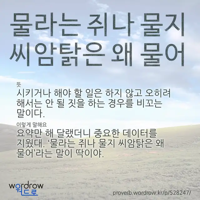 “물라는 쥐나 물지 씨암탉은 왜 물어” 글씨와 뜻·예문이 완성된 속담 영상 포스터