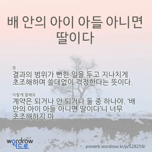 “배 안의 아이 아들 아니면 딸이다” 글씨와 뜻·예문이 완성된 속담 영상 포스터