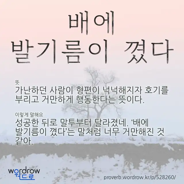 “배에 발기름이 꼈다” 글씨와 뜻·예문이 완성된 속담 영상 포스터