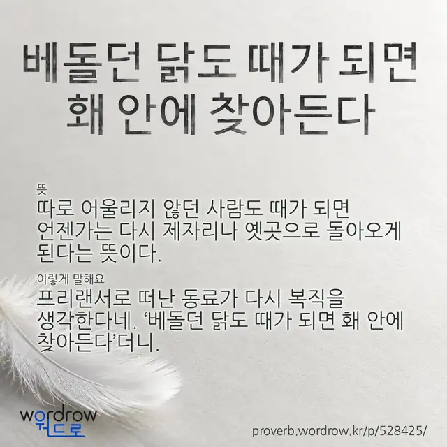 “베돌던 닭도 때가 되면 홰 안에 찾아든다” 글씨와 뜻·예문이 완성된 속담 영상 포스터