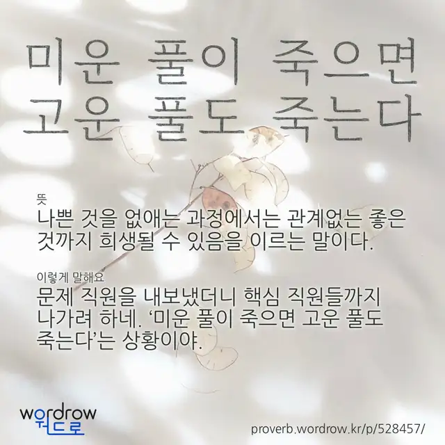 “미운 풀이 죽으면 고운 풀도 죽는다” 글씨와 뜻·예문이 완성된 속담 영상 포스터