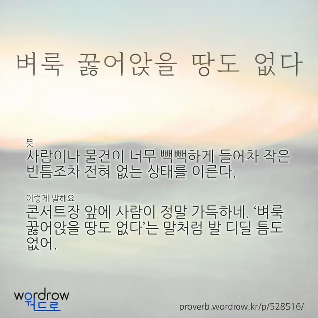 “벼룩 꿇어앉을 땅도 없다” 글씨와 뜻·예문이 완성된 속담 영상 포스터