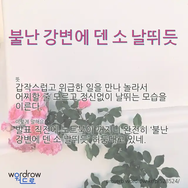 “불난 강변에 덴 소 날뛰듯” 글씨와 뜻·예문이 완성된 속담 영상 포스터