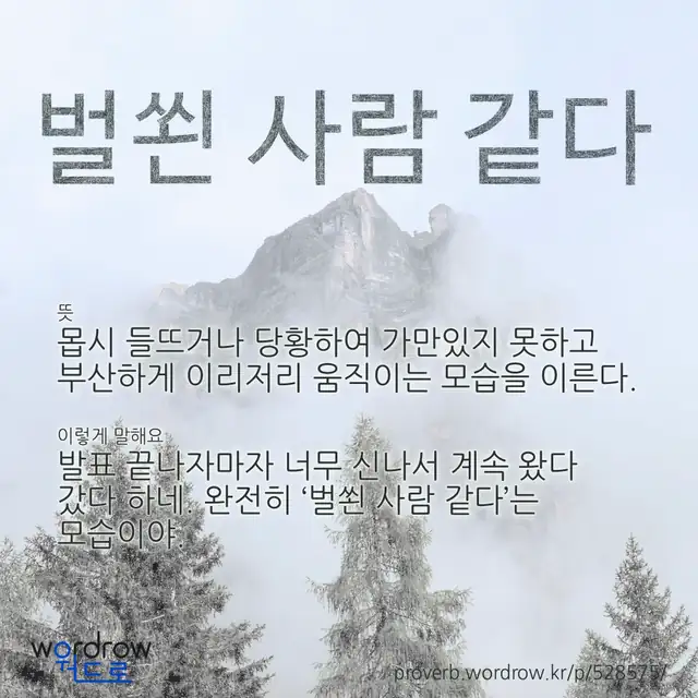 “벌쐰 사람 같다” 글씨와 뜻·예문이 완성된 속담 영상 포스터