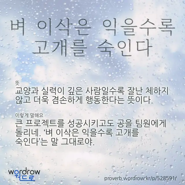 “벼 이삭은 익을수록 고개를 숙인다” 글씨와 뜻·예문이 완성된 속담 영상 포스터