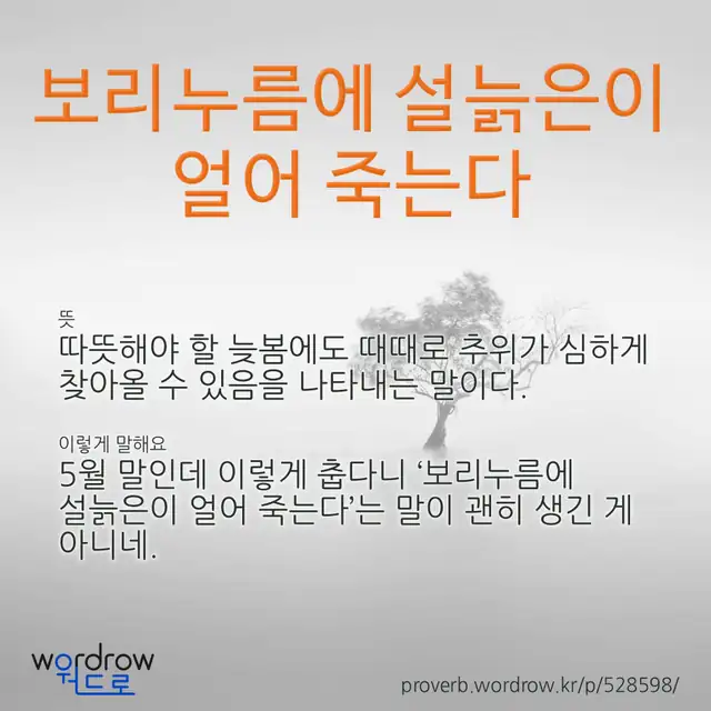 “보리누름에 설늙은이 얼어 죽는다” 글씨와 뜻·예문이 완성된 속담 영상 포스터
