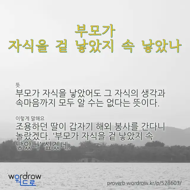 “부모가 자식을 겉 낳았지 속 낳았나” 글씨와 뜻·예문이 완성된 속담 영상 포스터