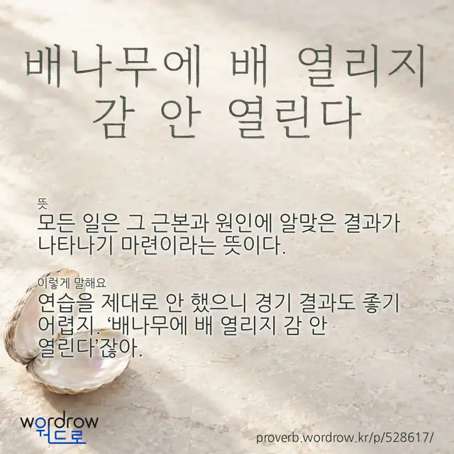 “배나무에 배 열리지 감 안 열린다” 글씨와 뜻·예문이 완성된 속담 영상 포스터