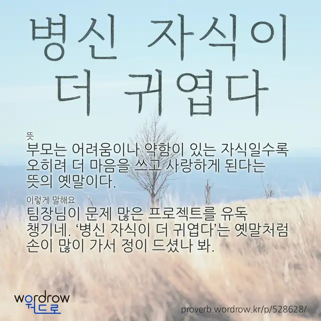 “병신 자식이 더 귀엽다” 글씨와 뜻·예문이 완성된 속담 영상 포스터