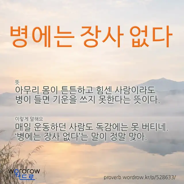 “병에는 장사 없다” 글씨와 뜻·예문이 완성된 속담 영상 포스터