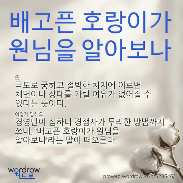 “배고픈 호랑이가 원님을 알아보나” 글씨와 뜻·예문이 완성된 속담 영상 포스터