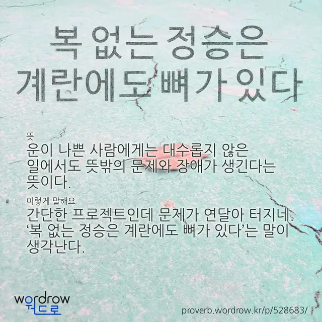 “복 없는 정승은 계란에도 뼈가 있다” 글씨와 뜻·예문이 완성된 속담 영상 포스터