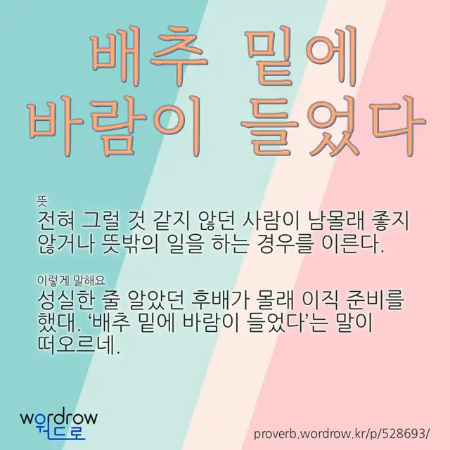 “배추 밑에 바람이 들었다” 글씨와 뜻·예문이 완성된 속담 영상 포스터