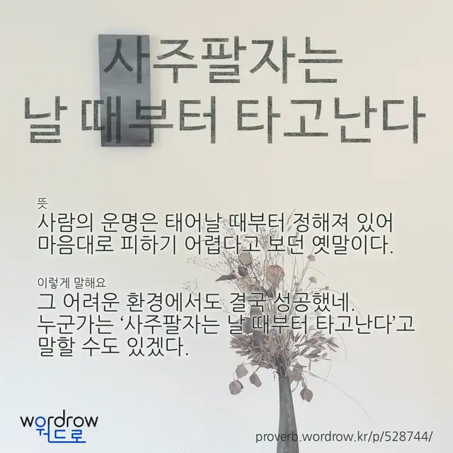 “사주팔자는 날 때부터 타고난다” 글씨와 뜻·예문이 완성된 속담 영상 포스터