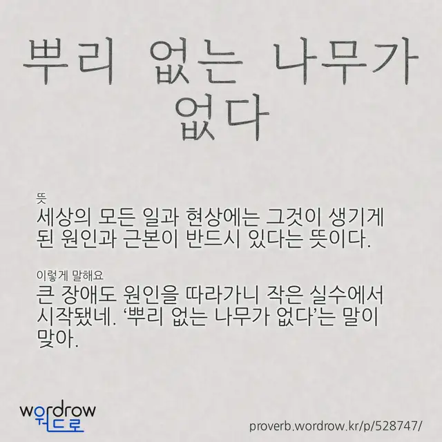 “뿌리 없는 나무가 없다” 글씨와 뜻·예문이 완성된 속담 영상 포스터