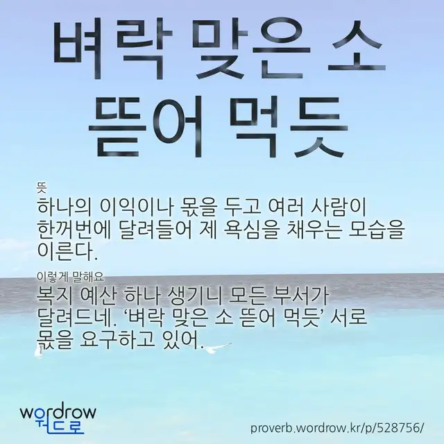 “벼락 맞은 소 뜯어 먹듯” 글씨와 뜻·예문이 완성된 속담 영상 포스터