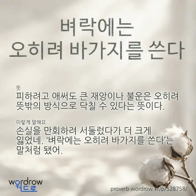 “벼락에는 오히려 바가지를 쓴다” 글씨와 뜻·예문이 완성된 속담 영상 포스터