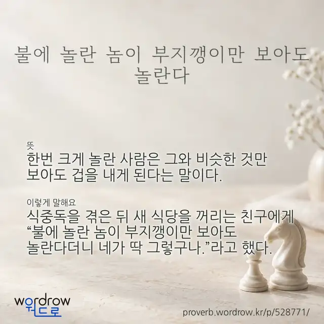 “불에 놀란 놈이 부지깽이만 보아도 놀란다” 글씨와 뜻·예문이 완성된 속담 영상 포스터