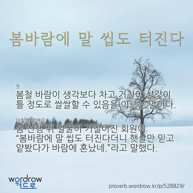 “봄바람에 말 씹도 터진다” 글씨와 뜻·예문이 완성된 속담 영상 포스터