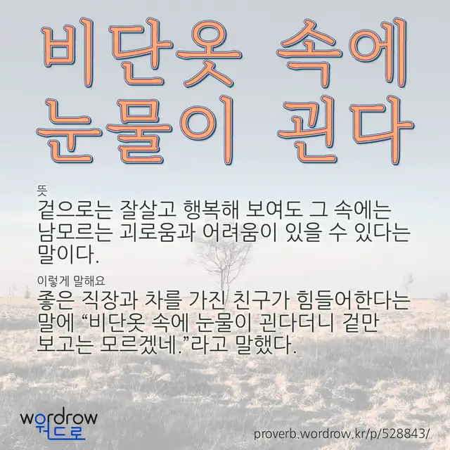 “비단옷 속에 눈물이 괸다” 글씨와 뜻·예문이 완성된 속담 영상 포스터