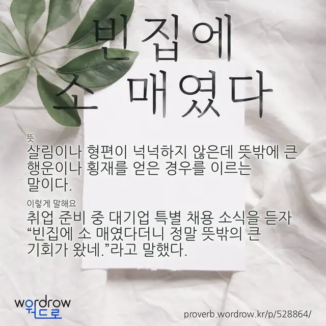 “빈집에 소 매였다” 글씨와 뜻·예문이 완성된 속담 영상 포스터