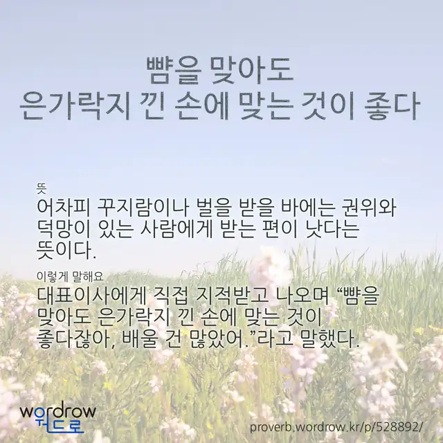 “뺨을 맞아도 은가락지 낀 손에 맞는 것이 좋다” 글씨와 뜻·예문이 완성된 속담 영상 포스터