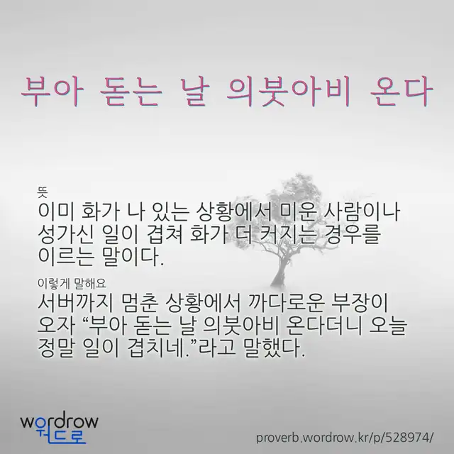 “부아 돋는 날 의붓아비 온다” 글씨와 뜻·예문이 완성된 속담 영상 포스터