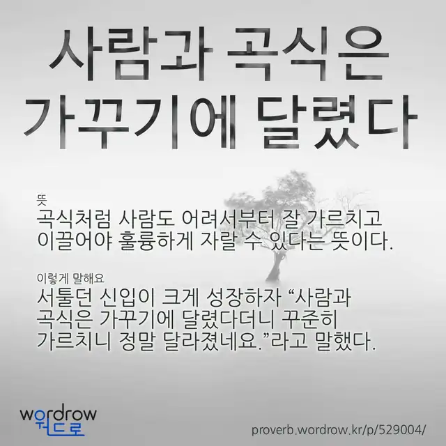 “사람과 곡식은 가꾸기에 달렸다” 글씨와 뜻·예문이 완성된 속담 영상 포스터