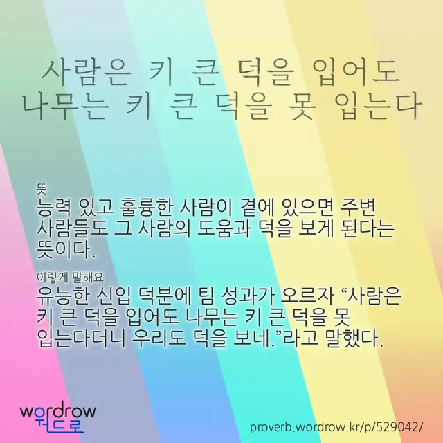 “사람은 키 큰 덕을 입어도 나무는 키 큰 덕을 못 입는다” 글씨와 뜻·예문이 완성된 속담 영상 포스터