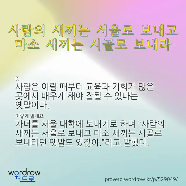 “사람의 새끼는 서울로 보내고 마소 새끼는 시골로 보내라” 글씨와 뜻·예문이 완성된 속담 영상 포스터