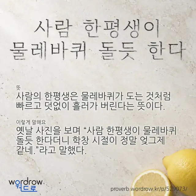 “사람 한평생이 물레바퀴 돌듯 한다” 글씨와 뜻·예문이 완성된 속담 영상 포스터
