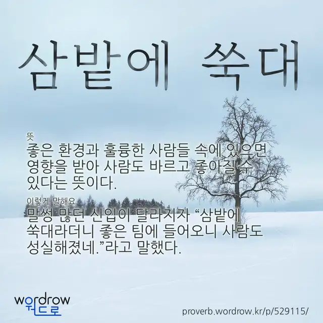 “삼밭에 쑥대” 글씨와 뜻·예문이 완성된 속담 영상 포스터