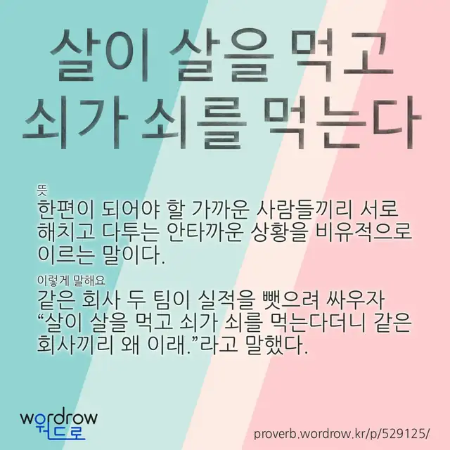 “살이 살을 먹고 쇠가 쇠를 먹는다” 글씨와 뜻·예문이 완성된 속담 영상 포스터