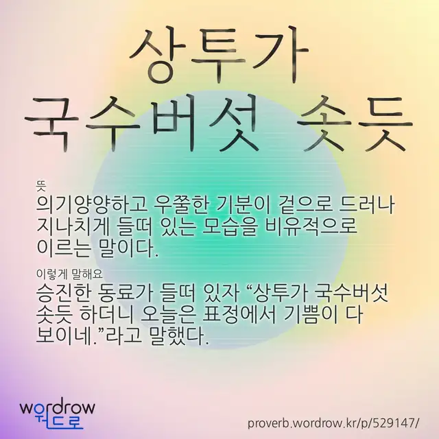 “상투가 국수버섯 솟듯” 글씨와 뜻·예문이 완성된 속담 영상 포스터